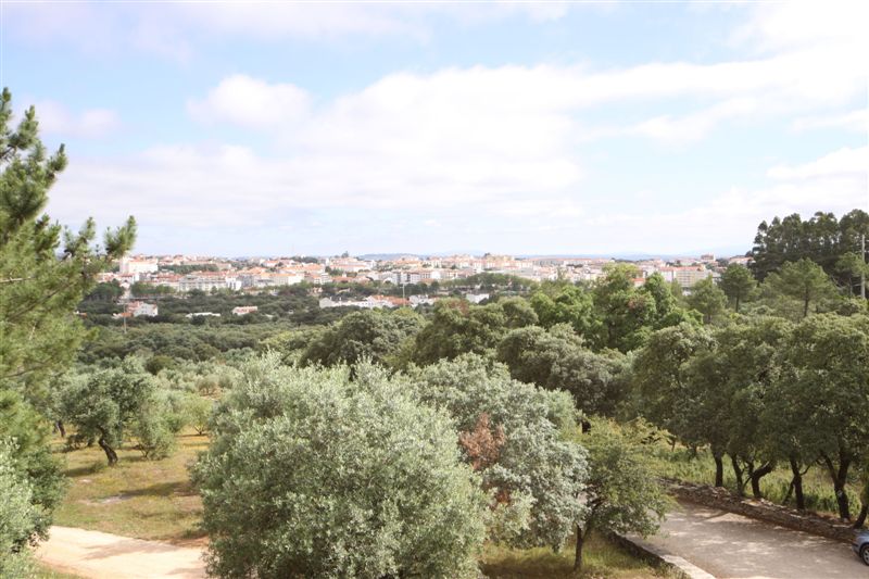 Fatima 2012 205